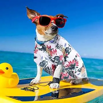 Cool Hawaiian Dog Shirts for Summer Fun in All Sizes