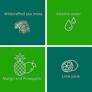 MAX FIT Sea Moss Gel Organic Raw (12 Flavors) 24oz Wildсrafted Gold Sea Moss Gel from Saint Lucia | 92 Vitamins and Minerals | Pure Raw+Non-GMO | Vegan Superfood