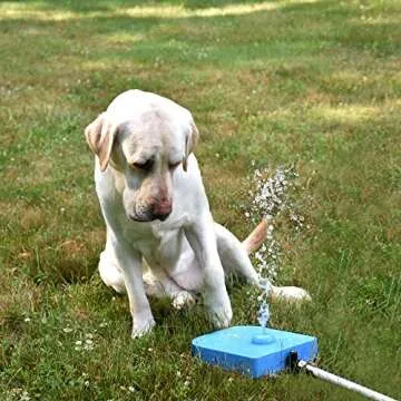 Royal Tails Dog Water Fountain - Step On Paw Activated Dispenser & Sprinkler for Fresh Drinking Water - Adjustable Pressure Flow - 1m Hose Included