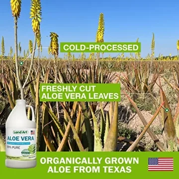 Organic Aloe Vera Juice - Pure & Cold-Processed Benefits