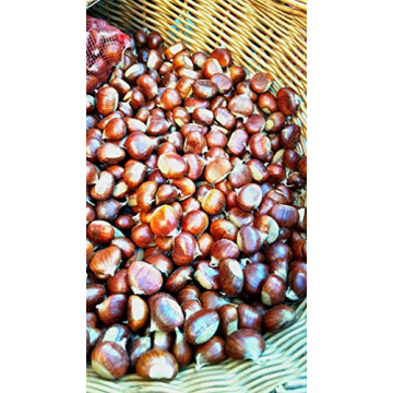 Giannetti Italian Chestnut Flour - Artisan Quality & Natural Taste