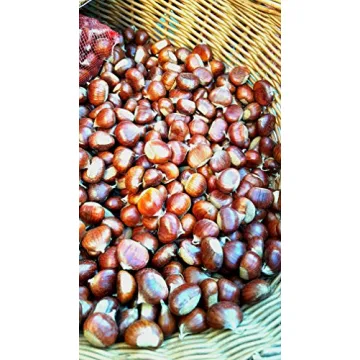 Giannetti Italian Chestnut Flour - Artisan Quality & Natural Taste