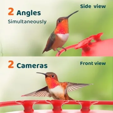 NETVUE Birdfy Hummingbird Feeder with Dual Cameras