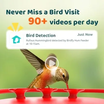 NETVUE Birdfy Hummingbird Feeder with Dual Cameras