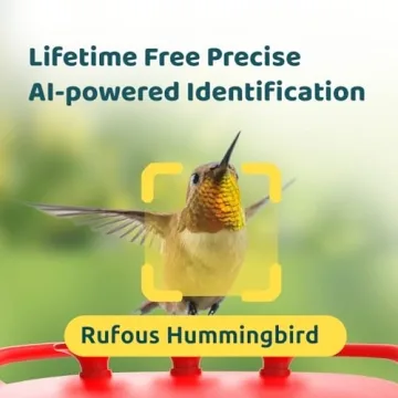 NETVUE Birdfy Hummingbird Feeder with Dual Cameras
