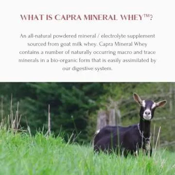 MT. CAPRA SINCE 1928 Capra Mineral Whey | A Whole Food, Bio-Available Mineral/Electrolyte Supplement from Goat Milk Whey, Rich in Potassium - 12.7 Ounce Powder