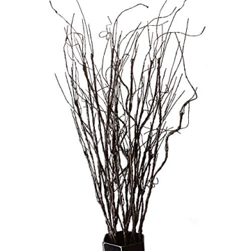 FeiLix 10PCS Lifelike Curly Willow Branches Decorative Dried Artificial Twigs, 30.7 Inches Fake Bend...