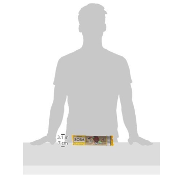 Eden Pasta Soba Organic Buckwheat Noodles Pack of 12 8.8oz