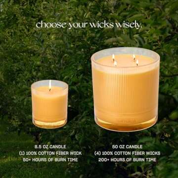 Half Baked Apple Cider Smash Scented Candle, 50+ Hours