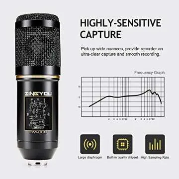 ZINGYOU BM-800 Microphone Set for Studio Recording
