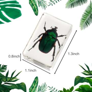 12 Pcs Insect in Resin Collection - Educational Bugs Specimen Set for Kids, Perfect for Preschool, C...