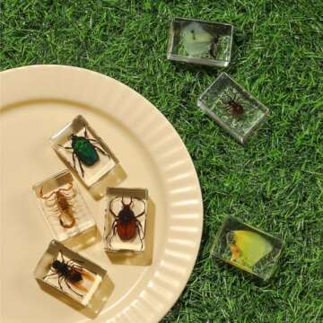 12 Pcs Insect in Resin Collection - Educational Bugs Specimen Set for Kids, Perfect for Preschool, Classroom Science, and Home Displays