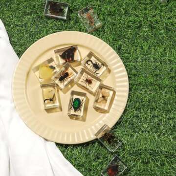 12 Pcs Insect in Resin Collection - Educational Bugs Specimen Set for Kids, Perfect for Preschool, Classroom Science, and Home Displays