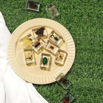 12 Pcs Insect in Resin Collection - Educational Bugs Specimen Set for Kids, Perfect for Preschool, Classroom Science, and Home Displays