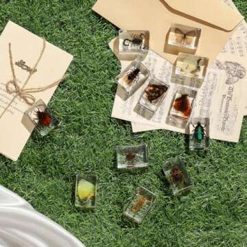 12 Pcs Insect in Resin Collection - Educational Bugs Specimen Set for Kids, Perfect for Preschool, Classroom Science, and Home Displays