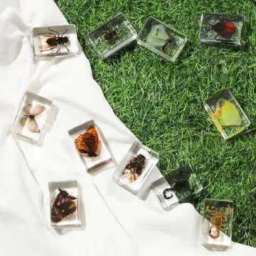 12 Pcs Insect in Resin Collection - Educational Bugs Specimen Set for Kids, Perfect for Preschool, Classroom Science, and Home Displays