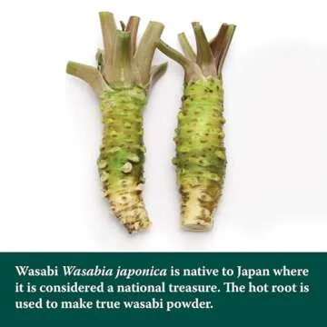 Eden Wasabi Powder - Authentic Japanese Flavor, Natural Ingredients
