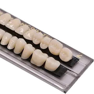 Angzhili Dental Acrylic Resin False Teeth Kit for Halloween