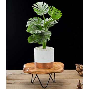 TJ Global Natural Edge Wooden Stand with Hairpin Legs for Displaying Cakes, Plants, Candles, Decor (L9 x W8.5 x H4)