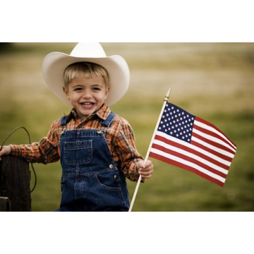 24 Pack American Stick Flags - Durable and Elegant