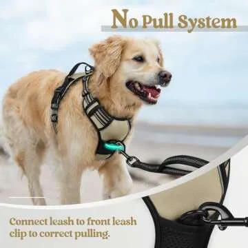 Comfortable No Pull Dog Harness for Small Dogs