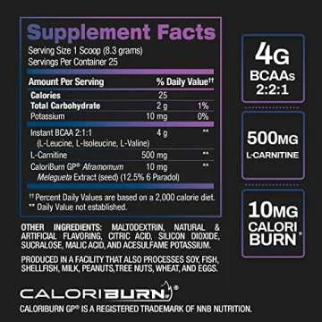 BPI Sports Best BCAA Shredded - Thermogenic Recovery Drink - Caffeine Free - BCAA Powder - Lean Muscle Building, Preworkout, Aminos & Hydration - Snow Cone - 25 Serving