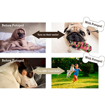 Pata Pal Durable Eco-Friendly Squeaky Dog Toy Pack