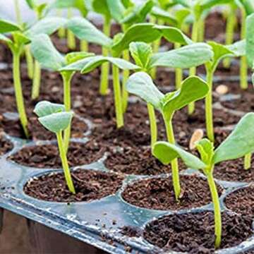 Hydrofarm Jump Start MT10006, 17 Watt UL Certified Seedling, 8.875"x19.5", Black