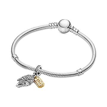 LIGHTDOG 925 Sterling Silve Charms fits Pandora Bracelets Necklace,5A Zircon Dangle Pendant Bead,Mother's Day Gift Jewelry Beads for Women