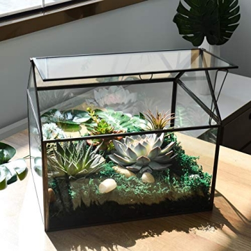 Large Glass Terrarium Kit for Houseplants and Succulents