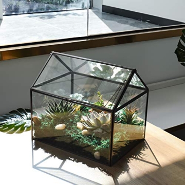 Large Glass Terrarium Kit for Houseplants and Succulents