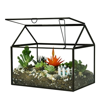Large Glass Terrarium Kit for Houseplants and Succulents