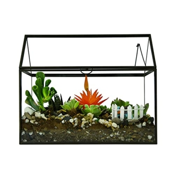 Large Glass Terrarium Kit for Houseplants and Succulents