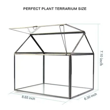 Large Glass Terrarium Kit for Houseplants and Succulents