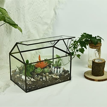 Large Glass Terrarium Kit for Houseplants and Succulents