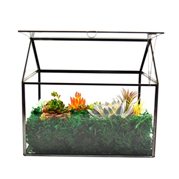 Large Glass Terrarium Kit for Houseplants and Succulents