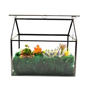 Large Glass Terrarium Kit for Houseplants and Succulents