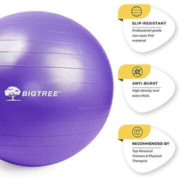 Exercise Ball, Yoga Ball Balance Pilates Anti-Burst with Pump Stability Fitness Ball Birthing Chair ...