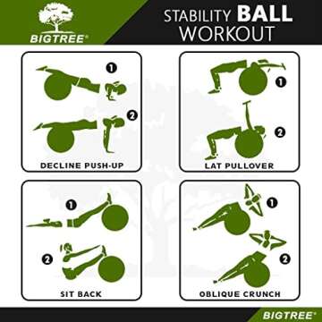 Exercise Ball, Yoga Ball Balance Pilates Anti-Burst with Pump Stability Fitness Ball Birthing Chair for Workout Core Training Office Home Gym Physical Therapy Pregnancy (55cm, Purple)