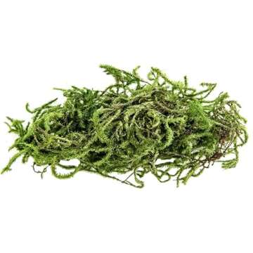 Galápagos (05213) Terrarium Green Sphagnum Moss, Natural, 4 Quart