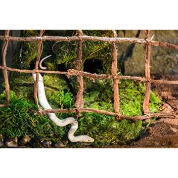 Galápagos (05213) Terrarium Green Sphagnum Moss, Natural, 4 Quart