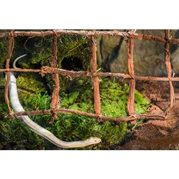 Galápagos (05213) Terrarium Green Sphagnum Moss, Natural, 4 Quart