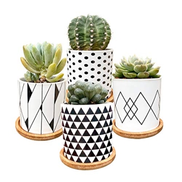 ALLFEIYA Succulent Pots Set of 4 - Modern Ceramic Planters