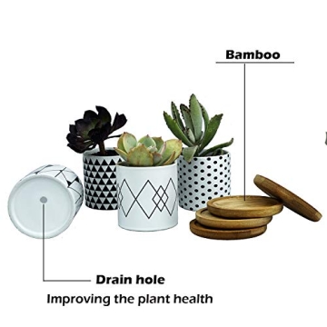 ALLFEIYA Succulent Pots Set of 4 - Modern Ceramic Planters