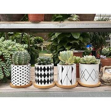 ALLFEIYA Succulent Pots Set of 4 - Modern Ceramic Planters