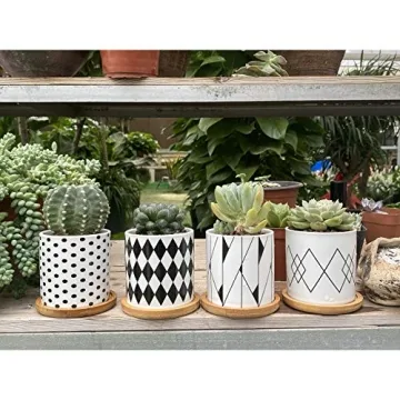 ALLFEIYA Succulent Pots Set of 4 - Modern Ceramic Planters