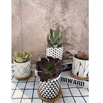 ALLFEIYA Succulent Pots Set of 4 - Modern Ceramic Planters