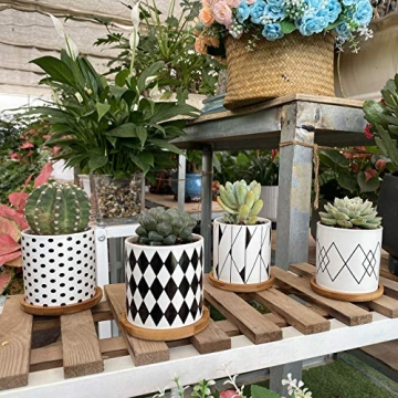 ALLFEIYA Succulent Pots Set of 4 - Modern Ceramic Planters