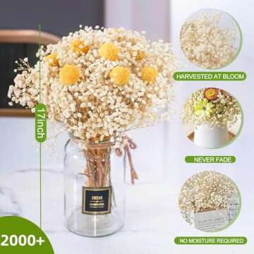 2000+ Dried Babys Breath Flowers Bulk - 17" Ivory White Dried Flower Bouquet, Real Natural Gypsophil...