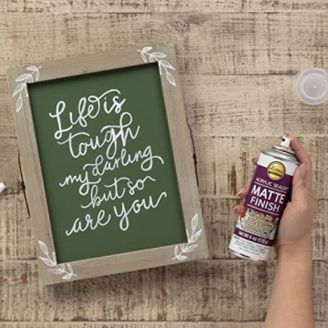 Aleene's Spray Finish for Projects, Clear-Matte 6oz